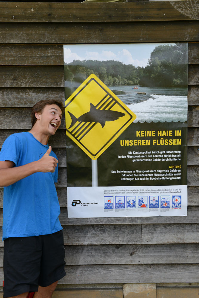 Es gibt keine Haie im Rhein